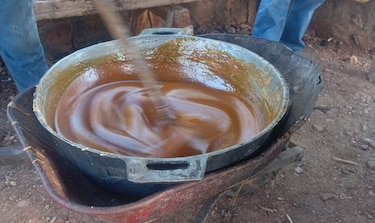 Entre trapiches y resistencia: la raspadura panameña frente a la panela importada