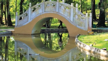 Parque de la Amistad, refugio de la ciudad de cemento