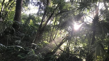 Tres senderos para disfrutar en la capital