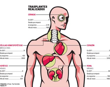 A fase final, consulta sobre los trasplantes