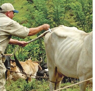 Médicos veterinarios levantan paro de labores