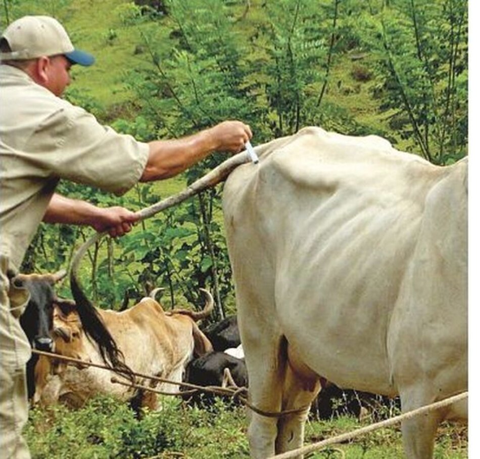 Médicos veterinarios levantan paro de labores