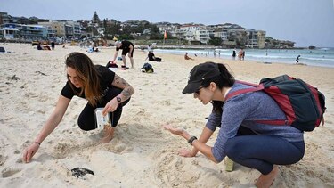 Miles de activistas participan en Asia en el Día Mundial de la Limpieza del planeta