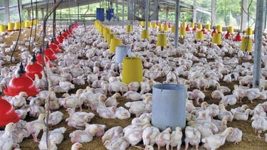 Crece producción del sector industrial en cuatro meses
