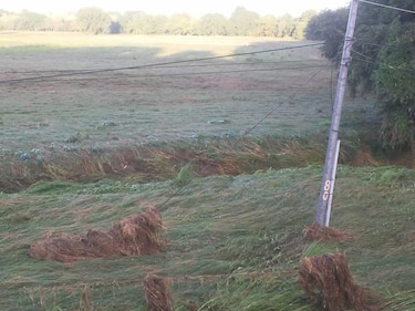 Compañía eléctrica dice que suspensiones en el servicio se deben a daños causados por las lluvias