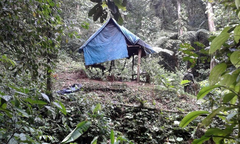 Redes criminales están tras la minería ilegal
