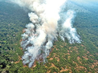 Aumentan incendios en amazonía brasileña