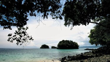 Denuncia administrativa contra estudio ambiental de pista aérea en parque Coiba