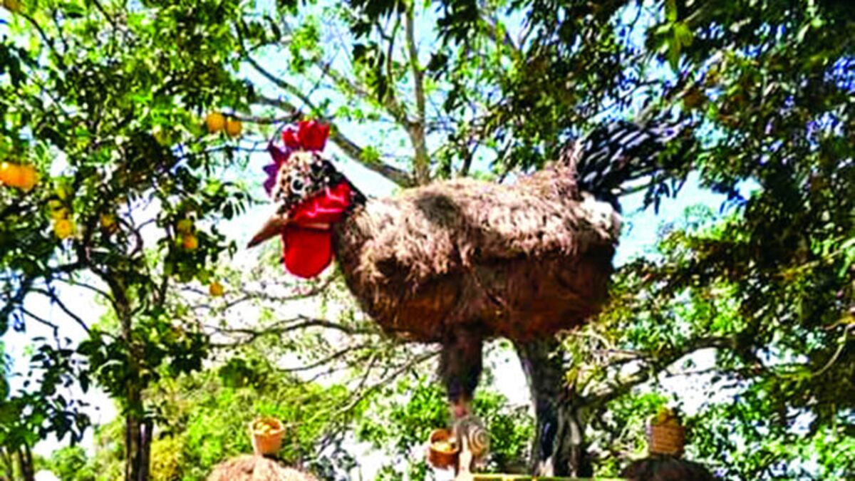 En el festival, decorado con ranchos originales, es oportuna la compra de la fruta o sus productos derivados.