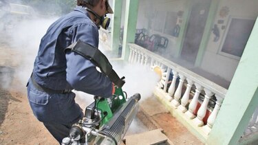 Cierran IPHE en La Chorrera debido a problemas con ratas