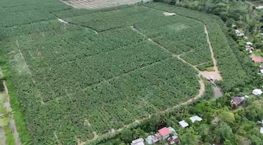 Bloqueo en la desembocadura del río San San mantiene inundadas fincas y comunidades de Changuinola, según productor