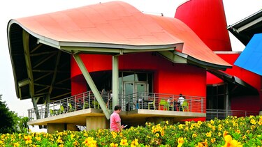 La extensión viviente del biomuseo