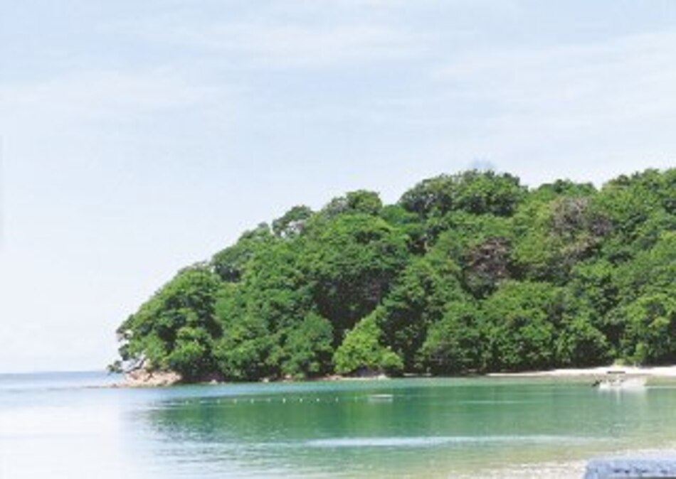 Estado prepara la venta de la mitad de Mogo Mogo