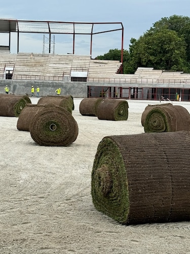 Nueva grama toma forma en el estadio Rico Cedeño