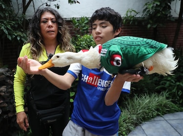 Merlín, la sensación con alas salva un Mundial y a su familia mexicana