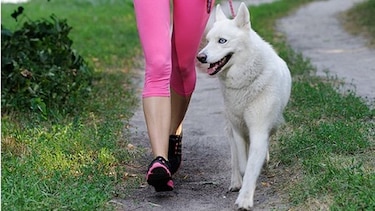Este fin de semana se realizará la primera caminata 'pet friendly'