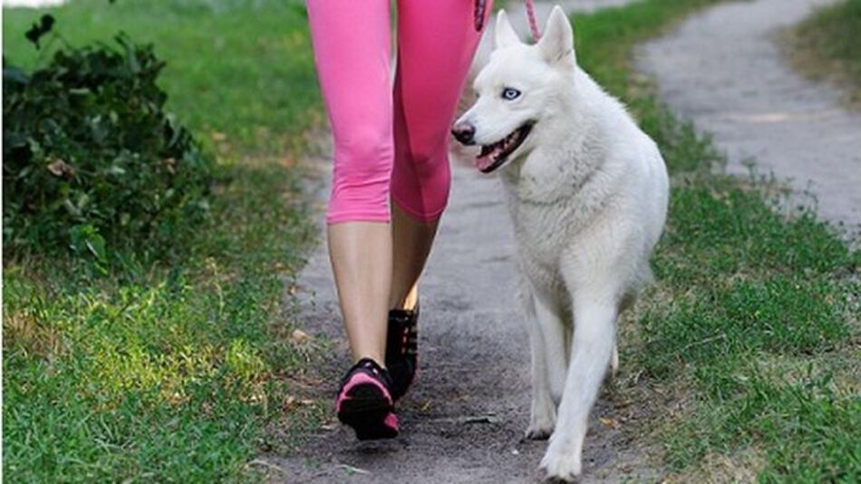 Este fin de semana se realizará la primera caminata 'pet friendly'