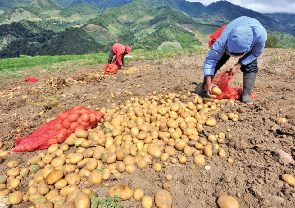 Reserva de semillas cubre ciclo agrícola