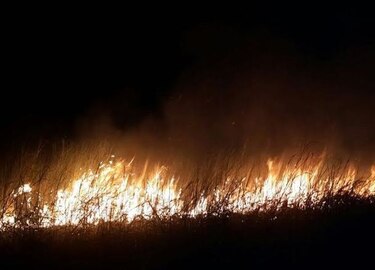 Fuego destruye una parte del refugio de vida silvestre de isla Cañas, en Los Santos