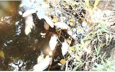 Sin definir causas de posible contaminación en potabilizadora de Bocas del Toro
