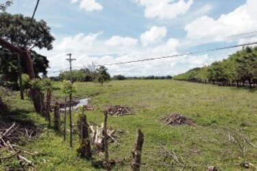 Bandas se dedican a clonar títulos de fincas
