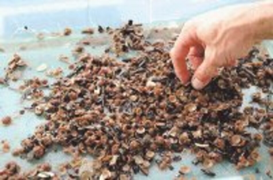 INNOVA Los efectos del istmo de Panamá