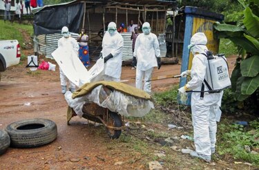 OMS espera que haya una vacuna contra el ébola disponible en 2015