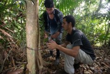 Imágenes de la vida silvestre, a favor de la ciencia