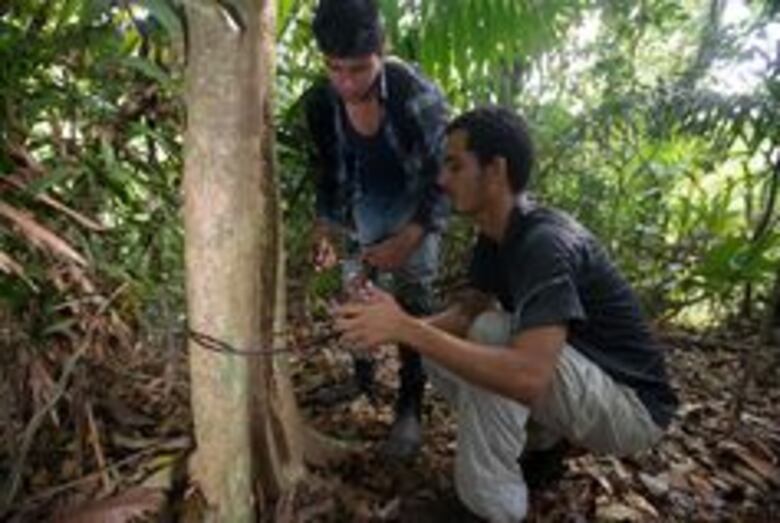 Imágenes de la vida silvestre, a favor de la ciencia