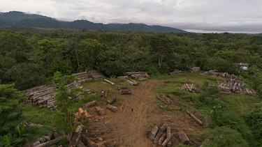 Detectan 30 áreas críticas de deforestación en Darién; Miambiente suspende permisos forestales