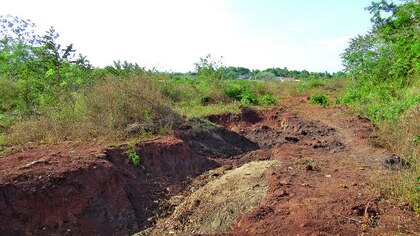 Critican aportes a la Iglesia católica