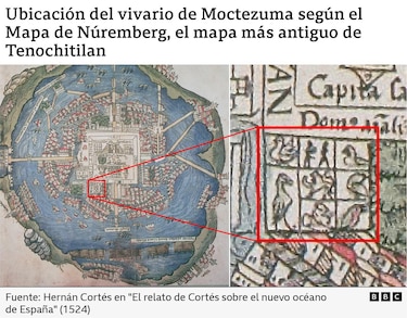 El zoológico de Moctezuma que asombró a los españoles hace 500 años y que recién ahora empezamos a conocer