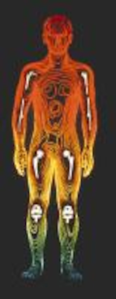 Visita al Urólogo La urología...¿qué es eso?