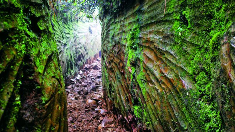 El Edén, lejos de la carretera