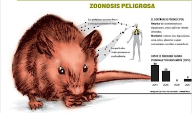 Hantavirus, una amenaza latente