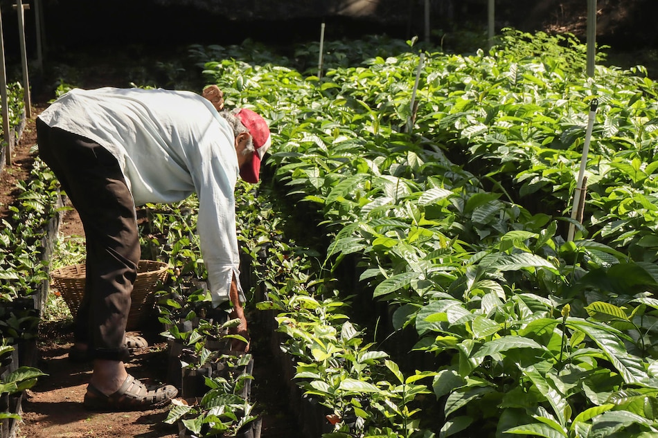 Aranceles de Trump amenazan al café latinoamericano, con precios récord del grano en Estados Unidos