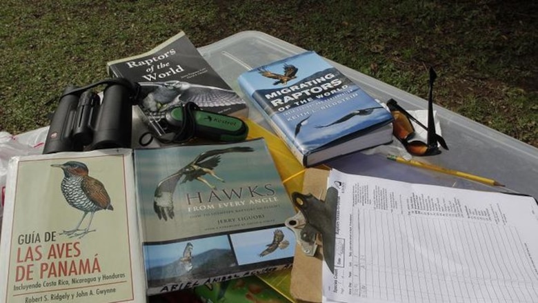 ¡Vienen las rapaces! Comenzó la migración de norte a sur