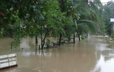 Lluvias dejan pérdidas por 5 millones de dólares en productos agrícolas