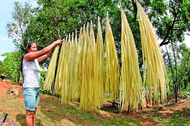 Sombrero pintao, patrimonio mundial