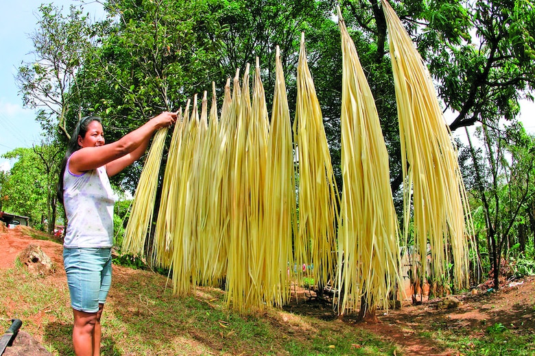 Sombrero pintao, patrimonio mundial
