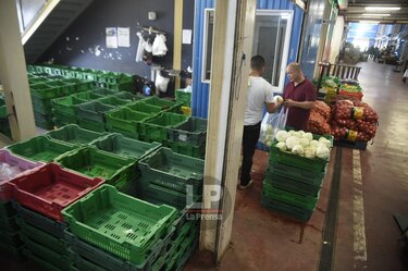 El corredor aéreo es el escape para mover productos del agro a la ciudad Panamá
