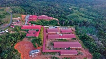 Cambio climático arrinconó a los gunas