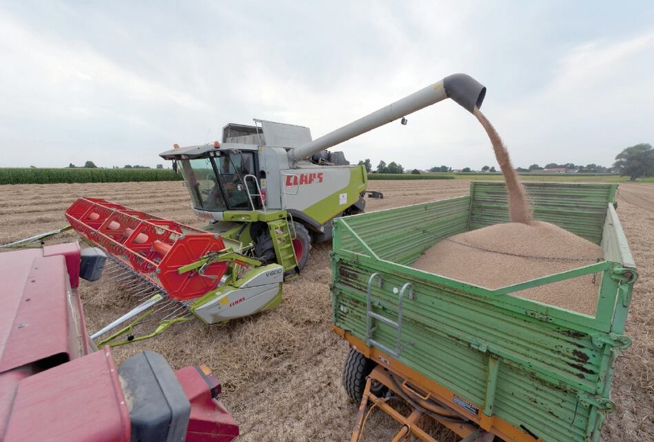 El trigo podría ser el ganador del acuerdo