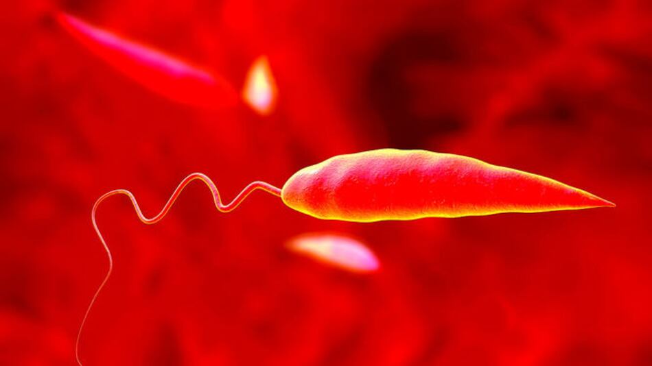 Más allá de las enfermedades infecciosas