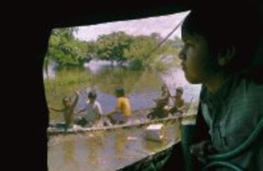 Los efectos del fenómeno climático El Niño