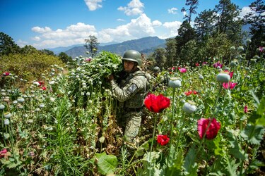 Estados Unidos acusa a China en la ONU de inacción y pasividad en la lucha contra el fentanilo