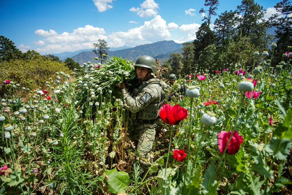Estados Unidos acusa a China en la ONU de inacción y pasividad en la lucha contra el fentanilo