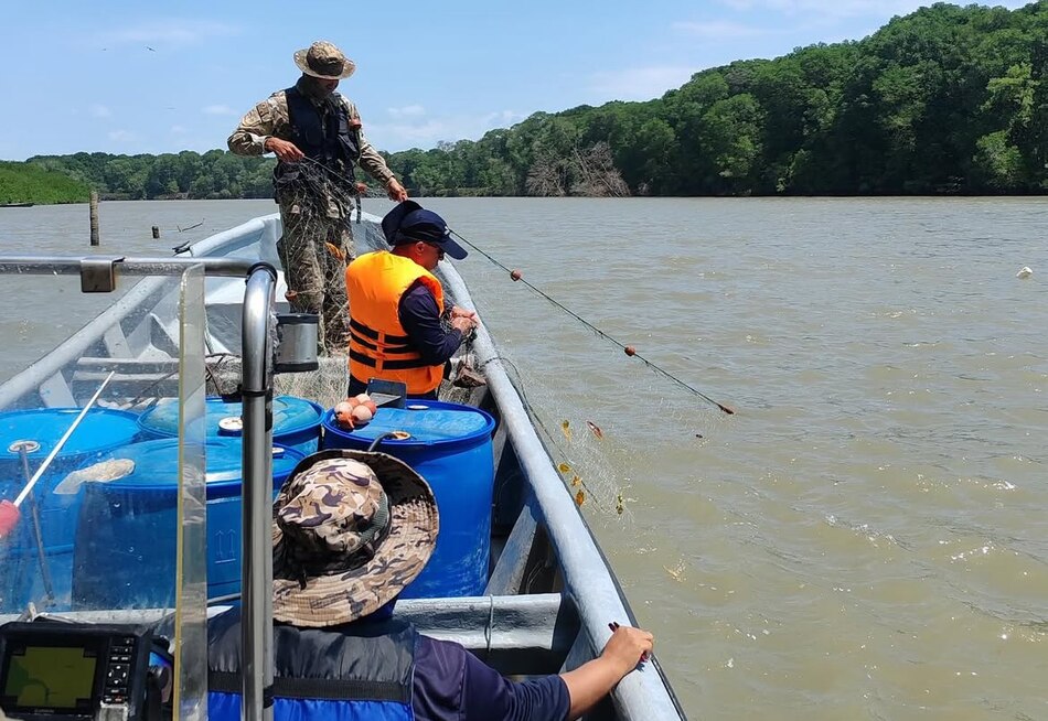 Decomisan redes a galleras ilegales en Herrera y citan pescadores