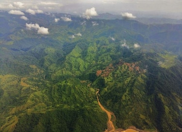 Persiste la tala en el Parque Nacional de Cerro Hoya