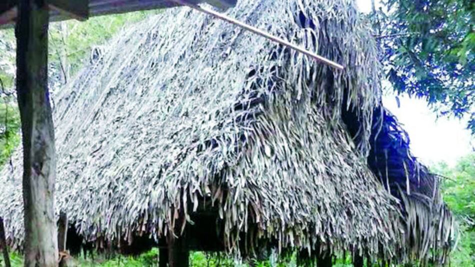 Posible caso de virus hanta en Las Palmas